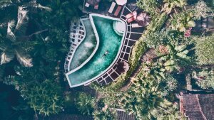 Stef Styles|The Traveller|Low Tone TO - Floating in a jungle pool