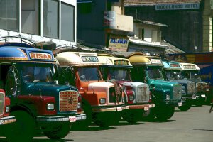 Stef Styles|The Traveller|Snowy Forest G-Mono - Some colourful busses. Colombo / Sri Lanka