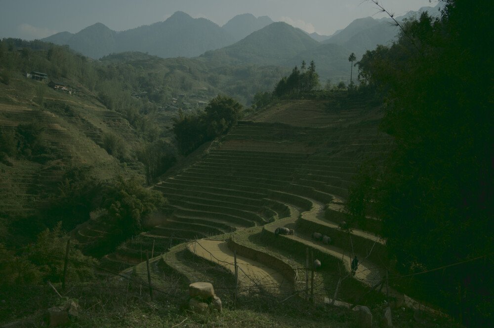 After · Stef Styles|The Traveller|Snowy Forest G-Mono