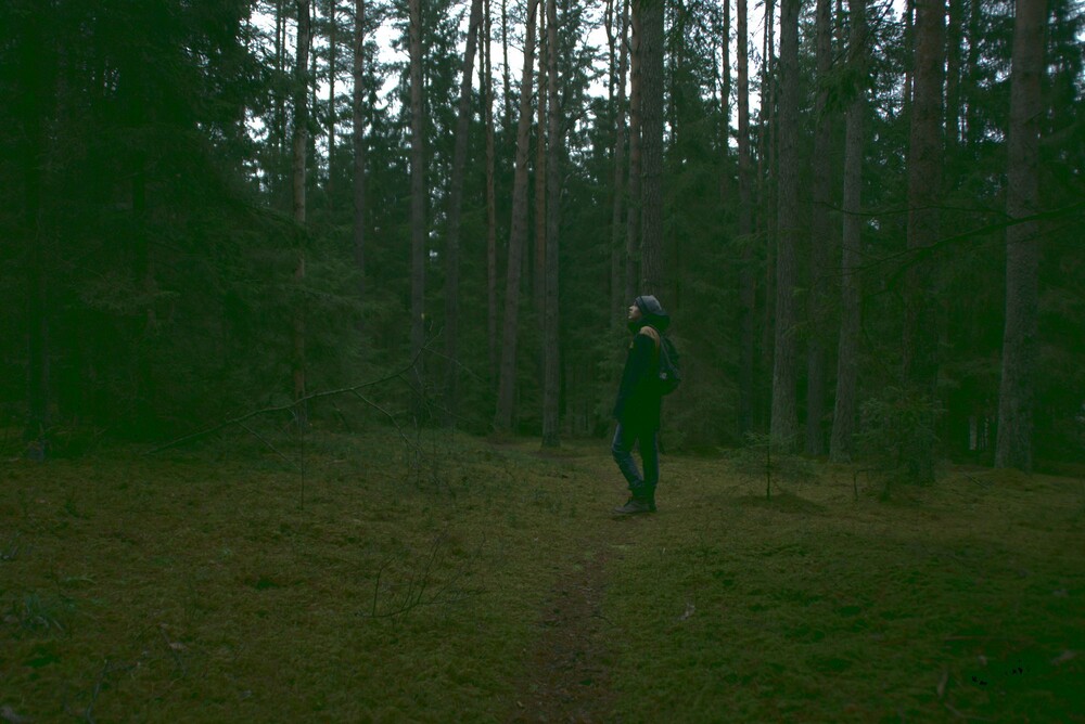 After · Stef Styles|The Traveller|Snowy Forest G-Mono