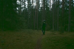 Stef Styles|The Traveller|Snowy Forest G-Mono - adventurekid 