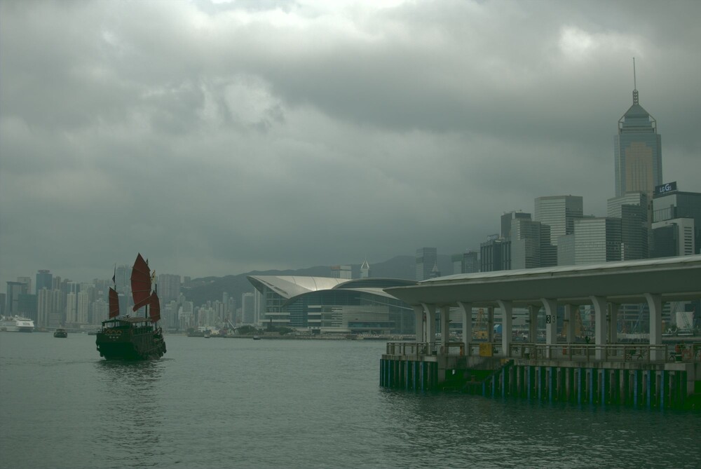 After · Stef Styles|The Traveller|Snowy Forest G-Mono