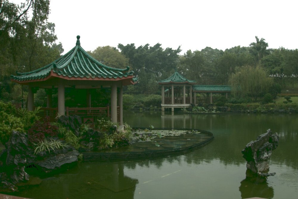 After · Stef Styles|The Traveller|Snowy Forest G-Mono