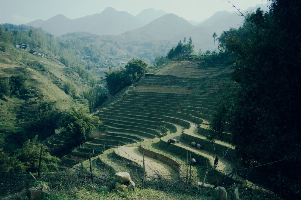 After · Monaris-like style attempt