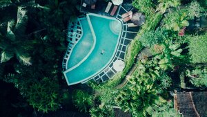 Monaris-like style attempt - Floating in a jungle pool