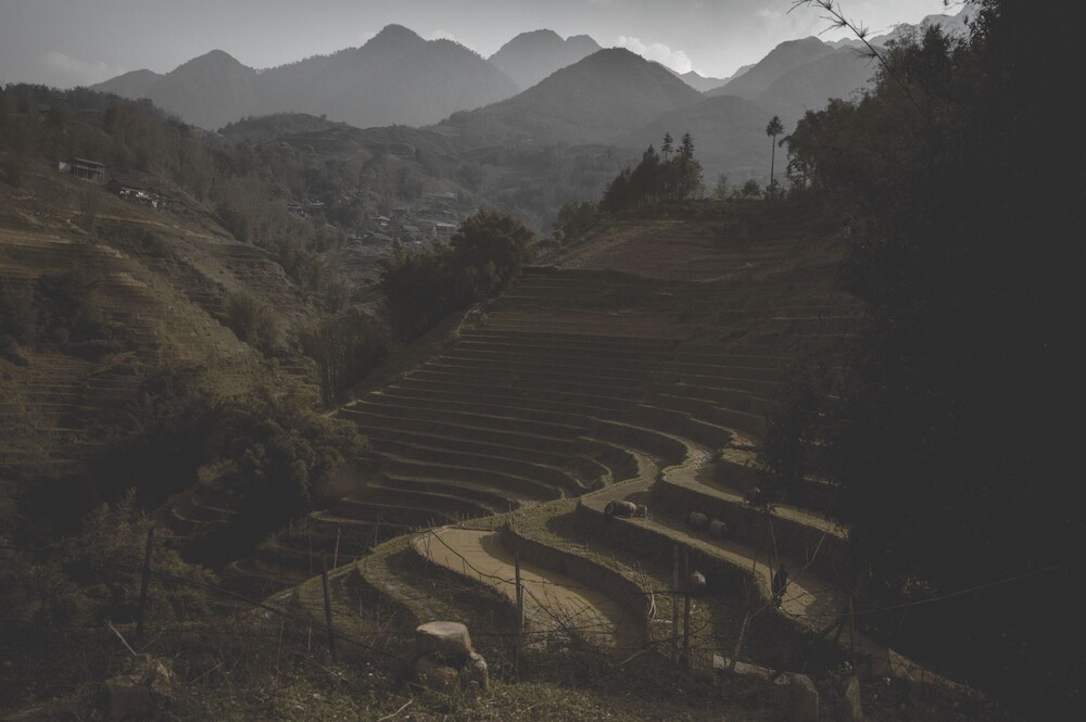 After · Dark Tones|Moody Orangish