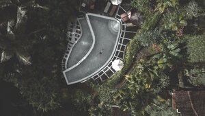 Dark Tones|Moody Orangish - Floating in a jungle pool