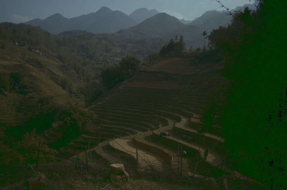 After · Stef Styles|The Traveller|Snowy Forest BRB-Triad