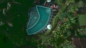 Stef Styles|The Traveller|Snowy Forest BRB-Triad - Floating in a jungle pool