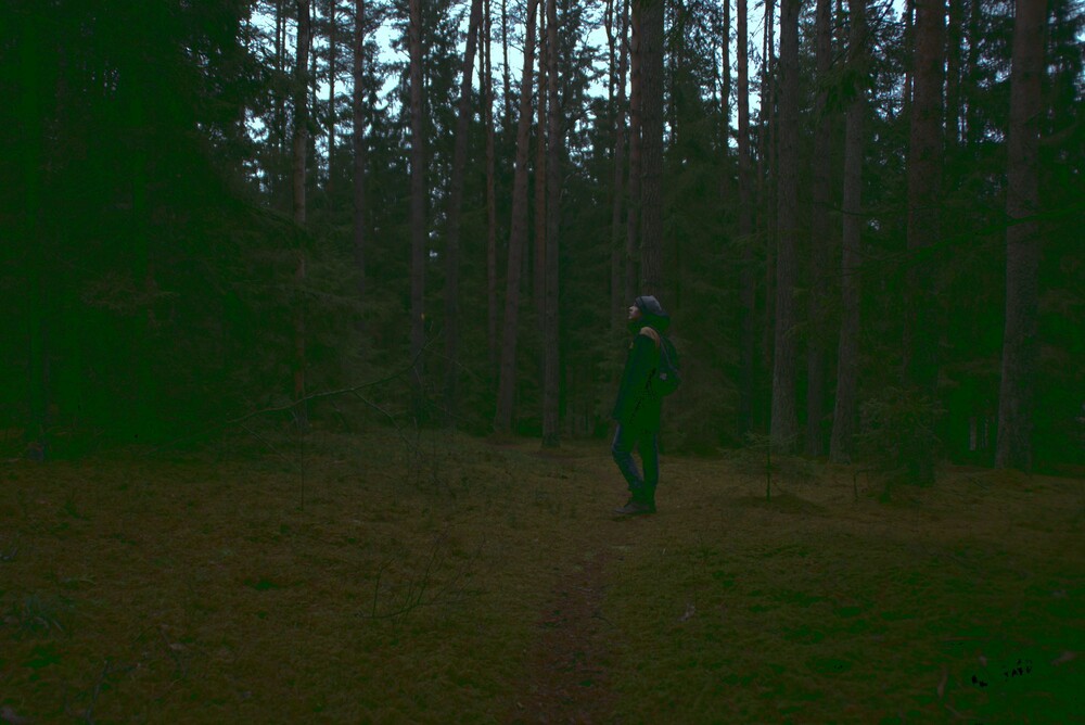 After · Stef Styles|The Traveller|Snowy Forest BRB-Triad