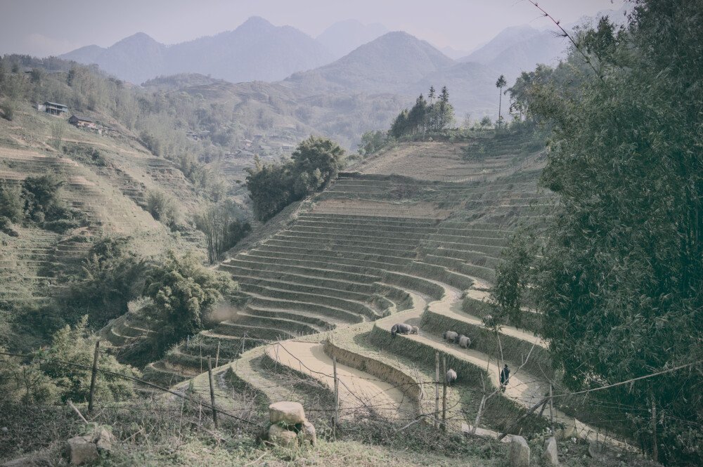 After · Stef Styles|Vintage|Cuba Street - Teal SD