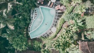 Stef Styles|Vintage|Cuba Street - Teal SD - Floating in a jungle pool