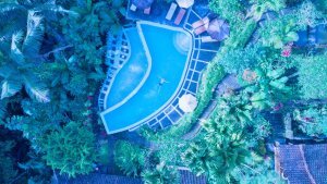 Stef Styles|Interior|Metro Station III Whitish - Floating in a jungle pool