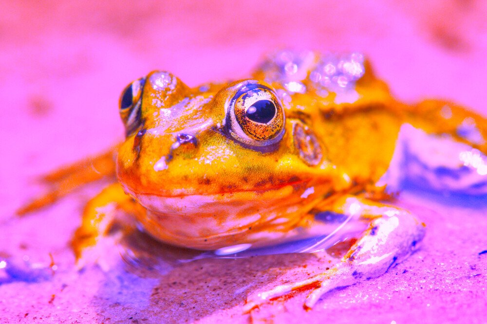 After · Stef Styles|Interior|Metro Station III Whitish