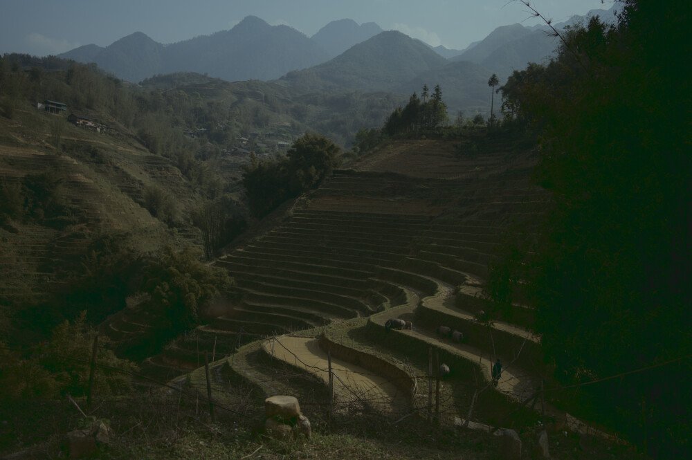 After · Stef Styles|The Traveller|Snowy Forest BRB-Triad