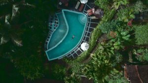 Stef Styles|The Traveller|Snowy Forest BRB-Triad - Floating in a jungle pool