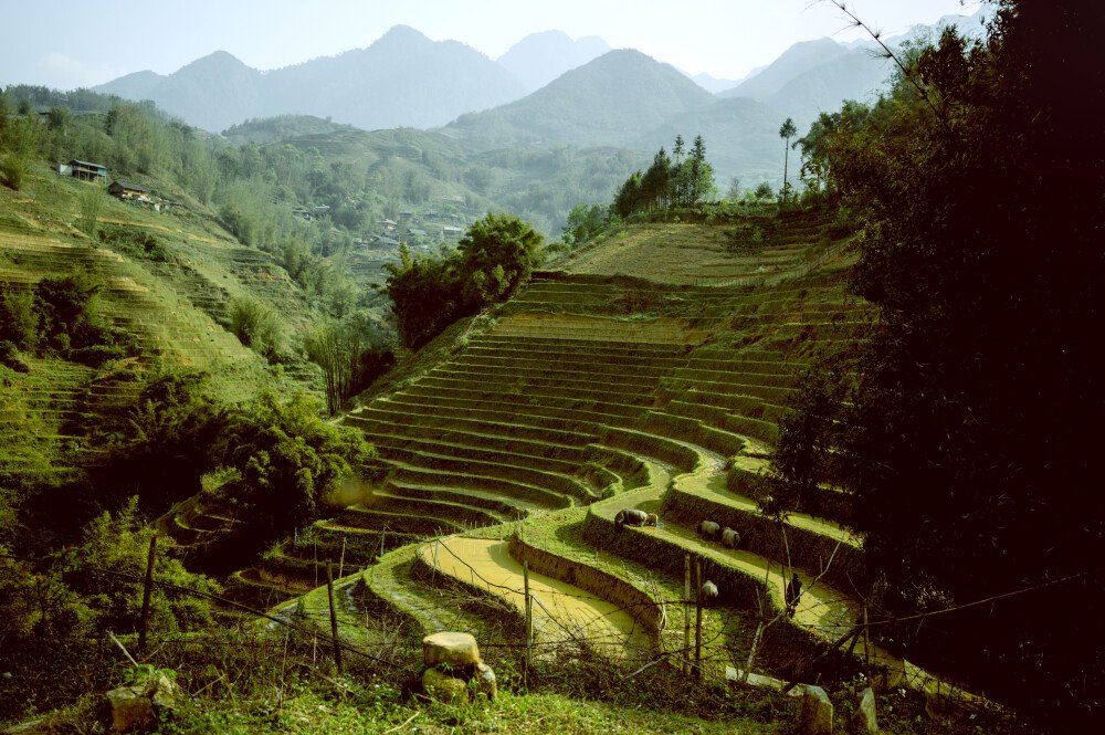 After · Stef Styles|Night|Grunge with Green Midtones