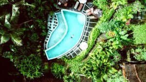 Stef Styles|Night|Grunge with Green Midtones - Floating in a jungle pool