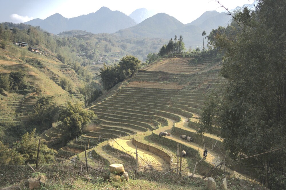 After · Stef Styles|Interior|Metro Station I Add light