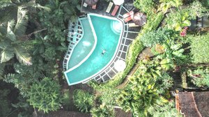 Stef Styles|Interior|Metro Station I Add light - Floating in a jungle pool