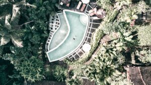 Stef Styles|Vintage|60s desat with WB+ - Floating in a jungle pool