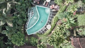 Stef Styles|Vintage|68s desat&vibr with WB+ - Floating in a jungle pool