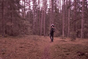 Stef Styles|Vintage|68s desat&vibr with WB+ - adventurekid 