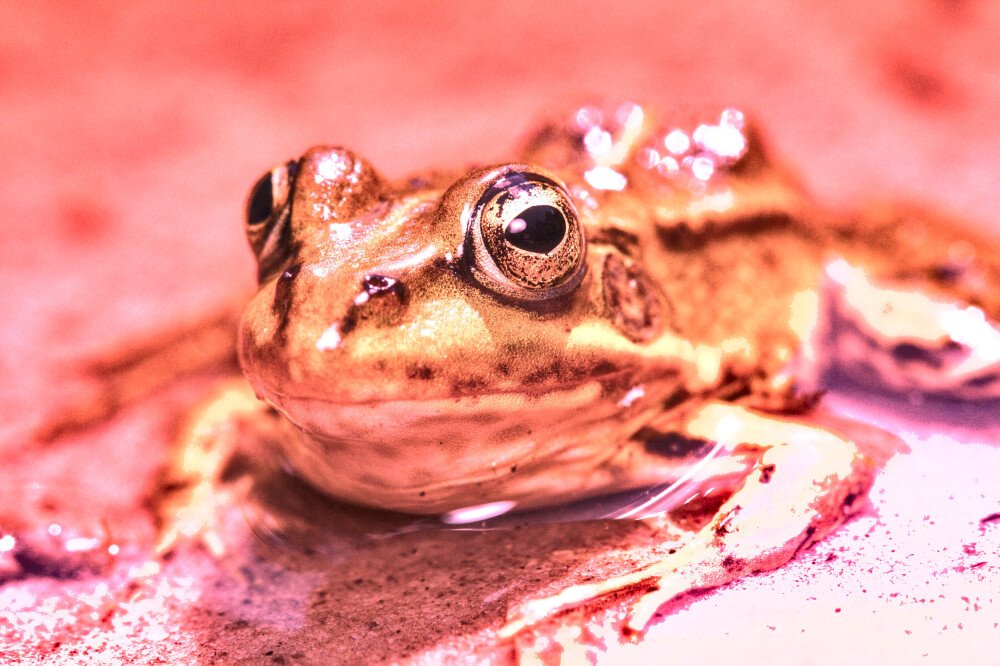 After · Stef Styles|Vintage|68s desat&vibr with WB+