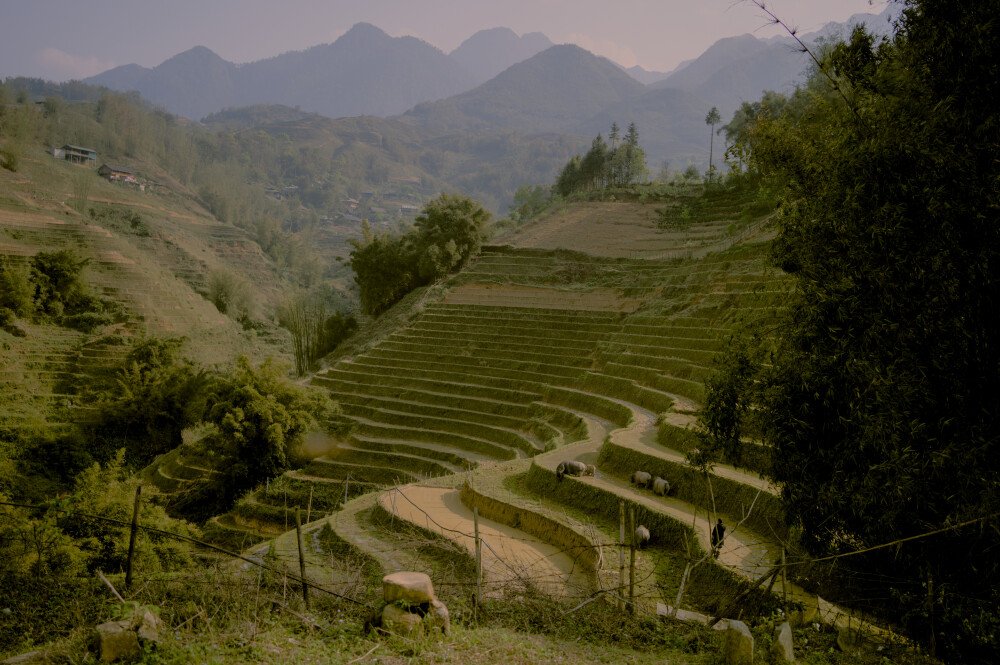 After · Stef Styles|Night|City lights with reflection