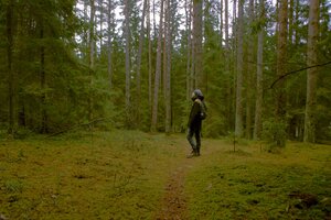 Stef Styles|Night|City lights with reflection - adventurekid 