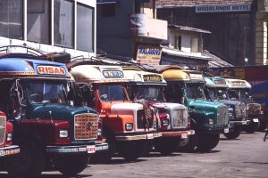 Stef Styles|The Traveller|Low Tone - Some colourful busses. Colombo / Sri Lanka
