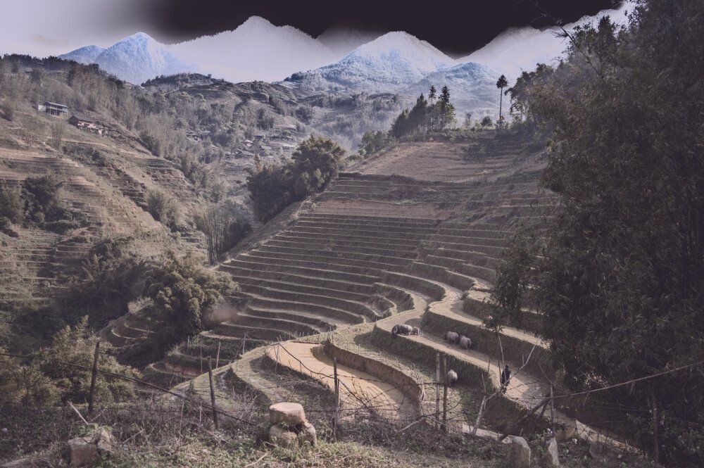 After · Stef Styles|The Traveller|Low Tone