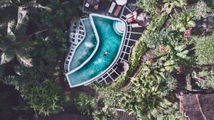 Stef Styles|The Traveller|Low Tone - Floating in a jungle pool