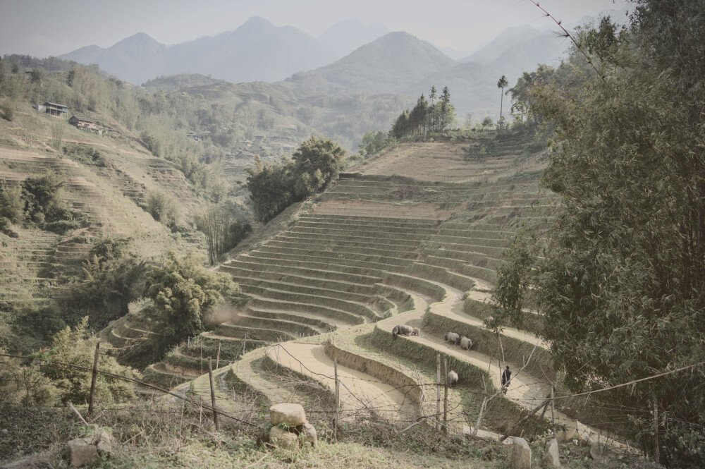 After · Stef Styles|Vintage|Cuba Street - ORA SD