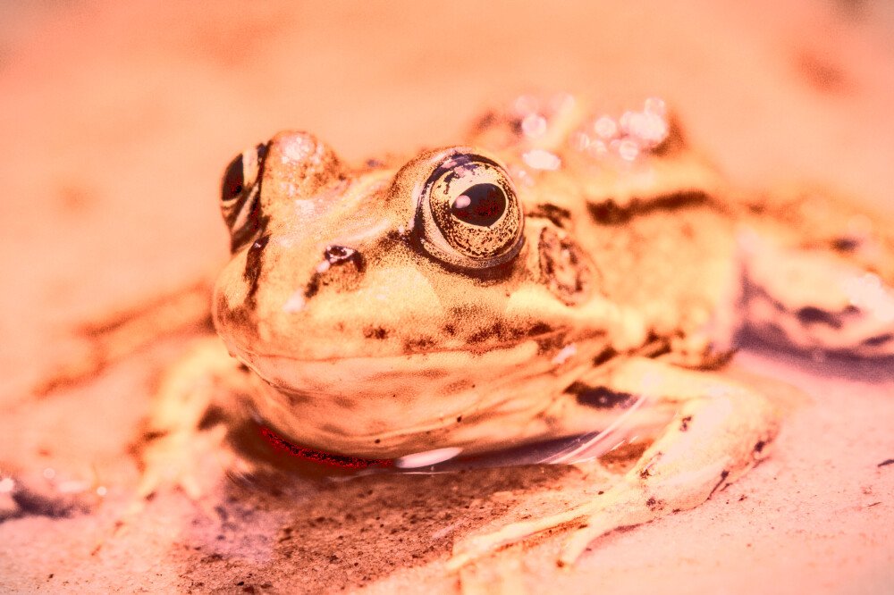 After · Stef Styles|Vintage|Cuba Street - ORA SD