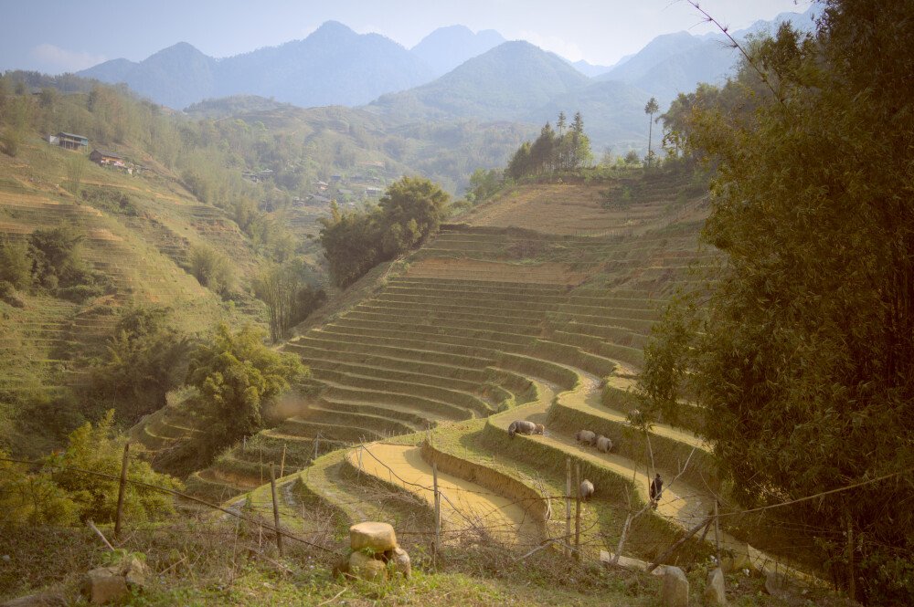 After · Stef Styles|The Traveller|Tropical Beach 70s