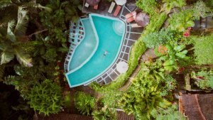 Stef Styles|The Traveller|Tropical Beach 70s - Floating in a jungle pool