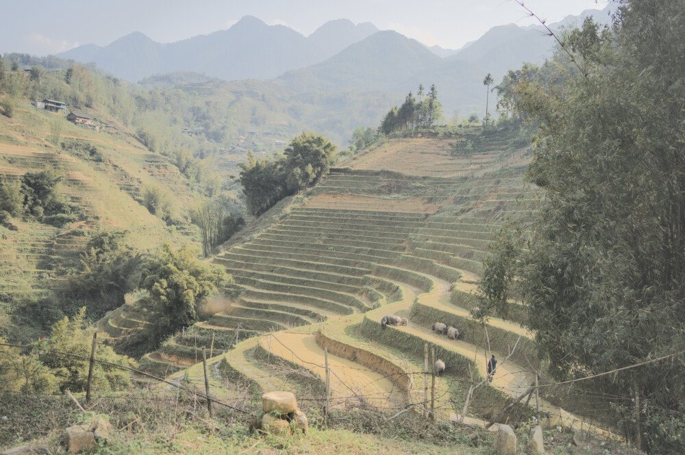 After · Stef Styles|Interior|Metro Station I Add light