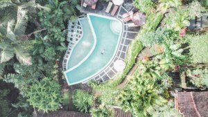 Stef Styles|Interior|Metro Station I Add light - Floating in a jungle pool