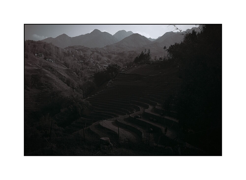 After · Weird_BlackAndWhite1