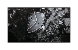 Weird_BlackAndWhite1 - Floating in a jungle pool