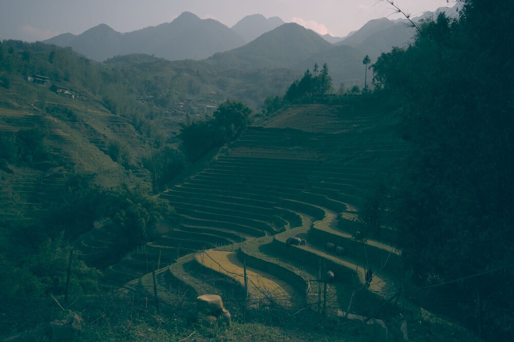 After · Stef Styles|Night|Ghotam City night with blue SH