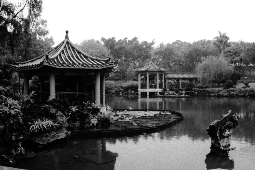 After · Warm B&W Film