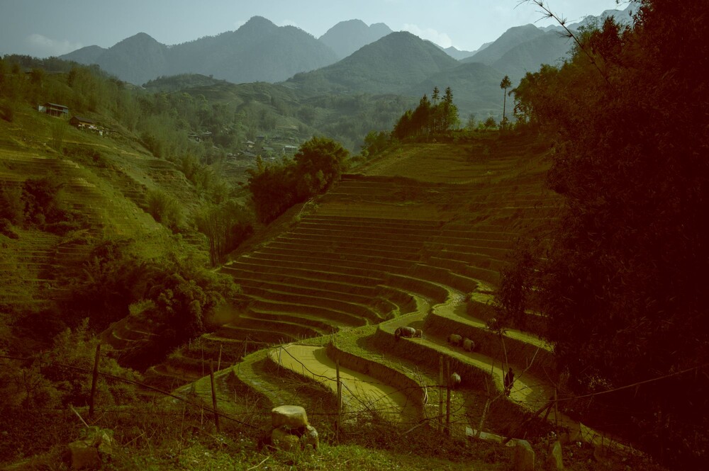 After · Stef Styles|Night|Grunge with Green Midtones