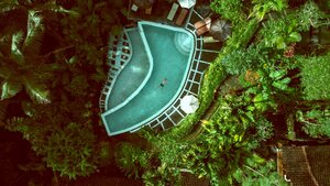 Stef Styles|Night|Grunge with Green Midtones - Floating in a jungle pool