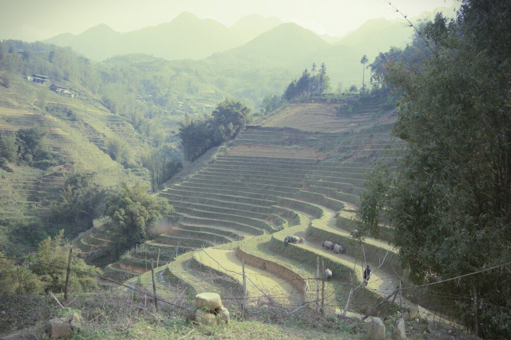 After · Stef Styles|Vintage|Portrait III