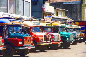 Stef Styles|The Traveller|Dreamy Bright - Some colourful busses. Colombo / Sri Lanka