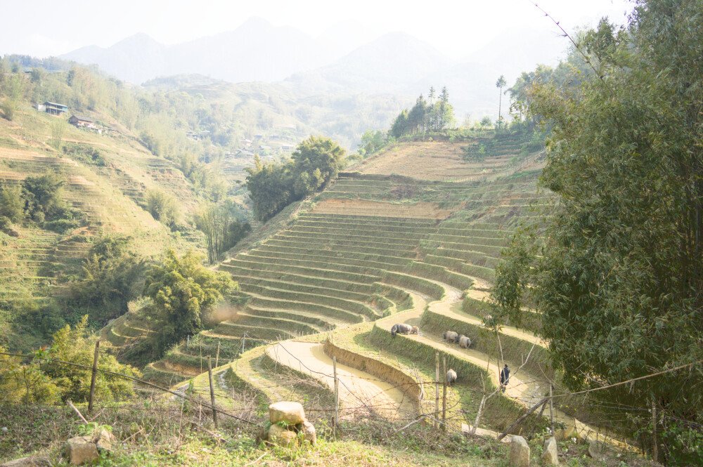 After · Stef Styles|The Traveller|Dreamy Bright