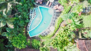 Stef Styles|The Traveller|Dreamy Bright - Floating in a jungle pool