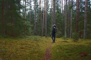 Stef Styles|The Traveller|Dreamy Bright - adventurekid 